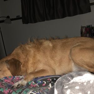 Meet your Posher, Ryshelle